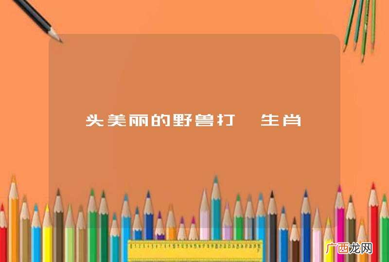 一头美丽的野兽打一生肖