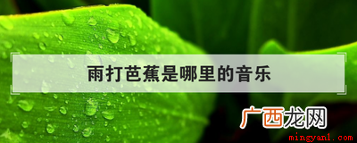 雨打芭蕉是哪里的音乐