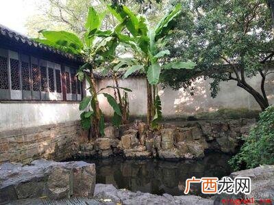 雨打芭蕉是哪里的音乐