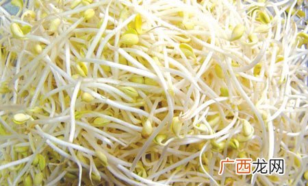 豆芽是怎样生长的,豆芽发芽过程？