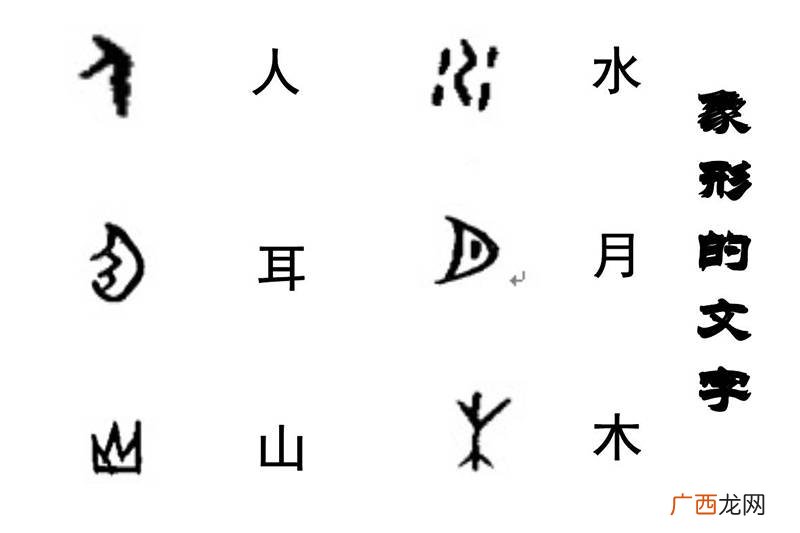 什么是会意字和象形字,象形字，会意字，指事字，形声字怎么区分，举例说明？