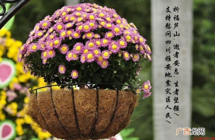 节哀顺变成语出处在哪