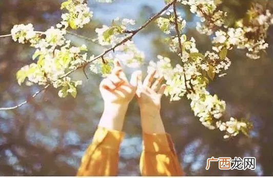 作茧自缚破茧成蝶是什么意思,“破茧成蝶”的前一句是什么?