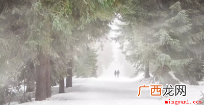 这句歇后语是:三九天穿裙子 三九天穿裙子的歇后语是什么