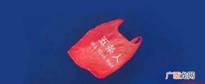 五条人是一个乐队的名字,参加音乐综艺 五条人是什么梗