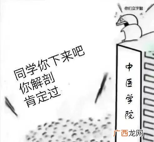 为什么要学解剖,中药学为什么要学人体解剖？