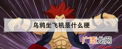 乌鸦坐飞机做个梗,你知不知道这个动漫冷知识 乌鸦坐飞机是什么梗