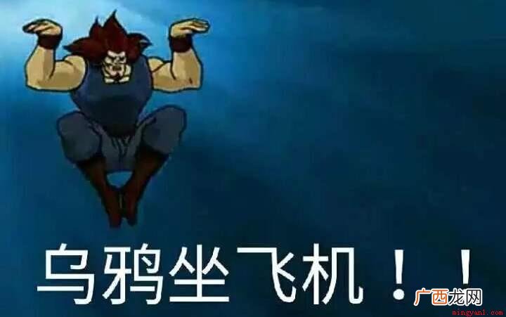 乌鸦坐飞机做个梗,你知不知道这个动漫冷知识 乌鸦坐飞机是什么梗