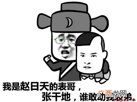 赵日天,网络虚拟人物。 赵日天是什么梗是什么梗