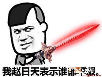 赵日天,网络虚拟人物。 赵日天是什么梗是什么梗