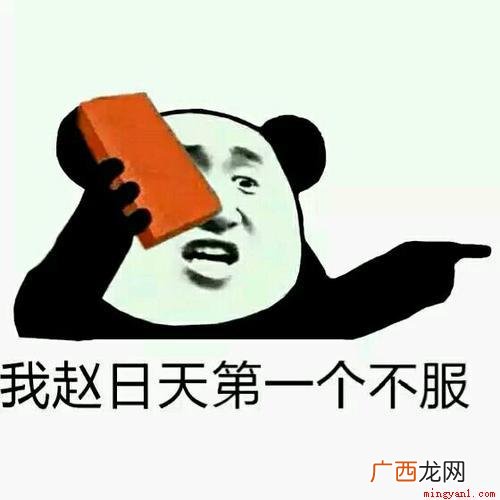 赵日天,网络虚拟人物。 赵日天是什么梗是什么梗