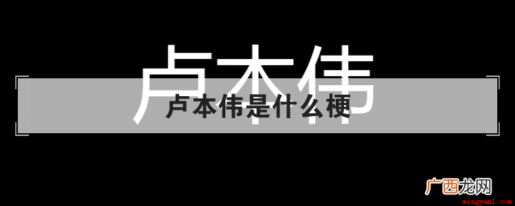 卢本伟是一个电竞选手,退役后做了主播,直播时喜欢说脏话和骚话