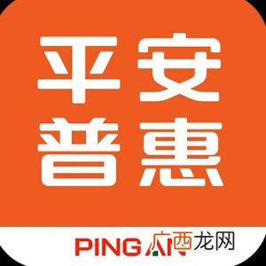 平安普惠是什么公司,什么时候更名为平安普惠？