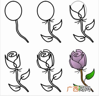 玫瑰画法步骤图片简单,【求】动漫玫瑰画法？