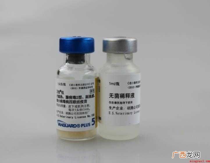 进口六联疫苗多少元一支