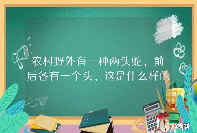 农村野外有一种两头蛇，前后各有一个头，这是什么样的一种蛇？