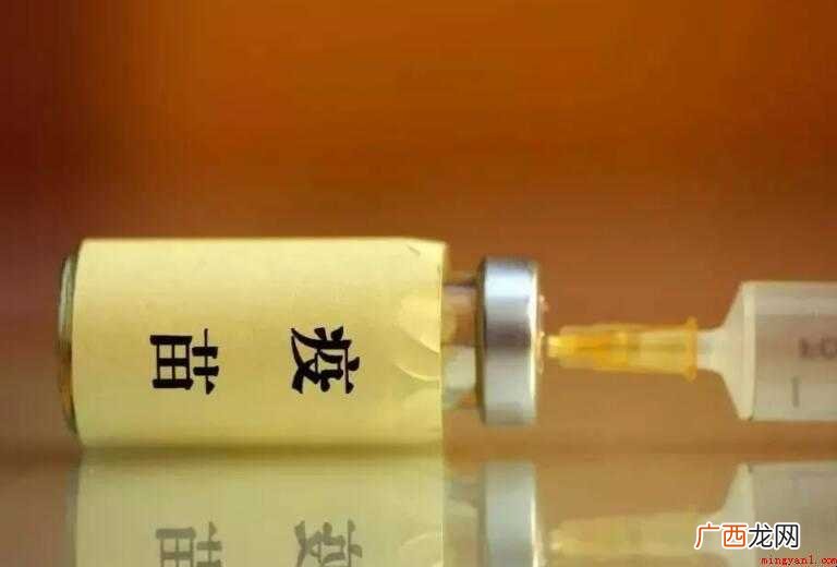 狗狗一年打几次狂犬疫苗