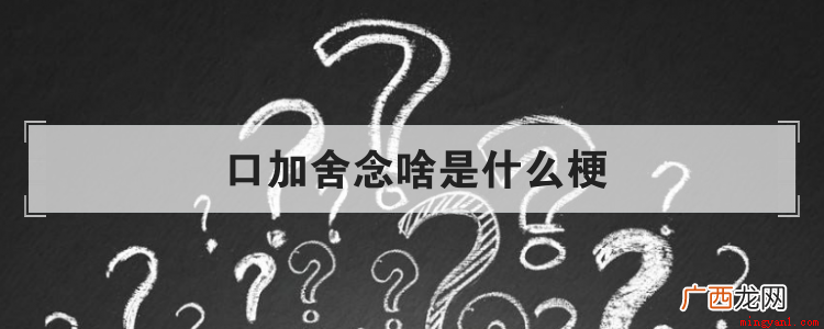 抖音中一向是火梗的聚集地,老师不认识,自己查字典 口加舍念啥是什么梗是什么梗