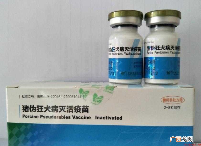 狂犬病疫苗医院都有吗