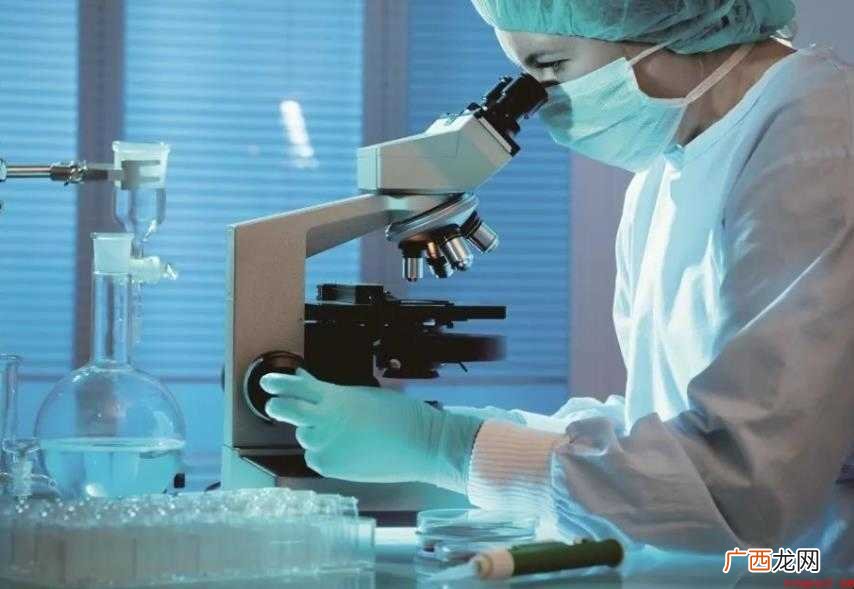 新冠疫苗申请上市要多久 疫苗申请上市要多久