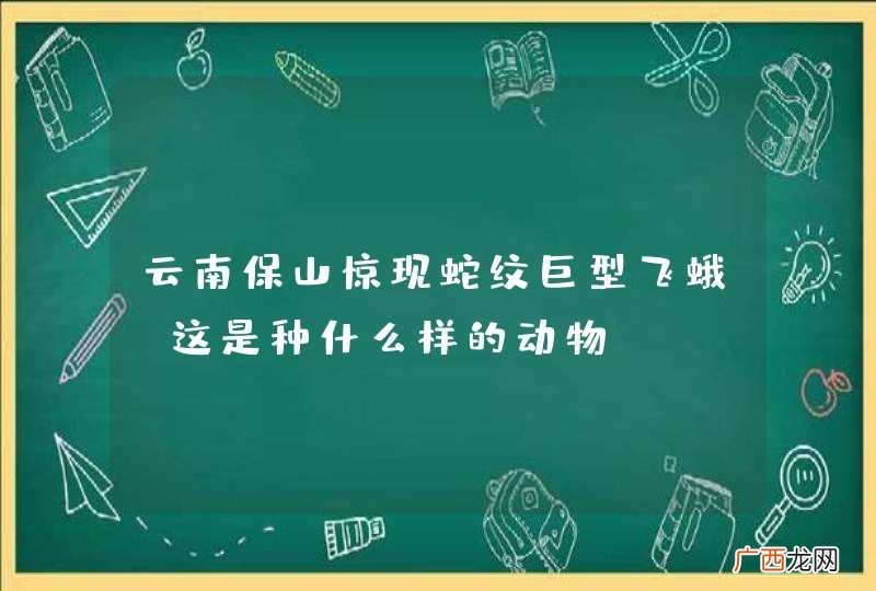 云南保山惊现蛇纹巨型飞蛾,这是种什么样的动物?