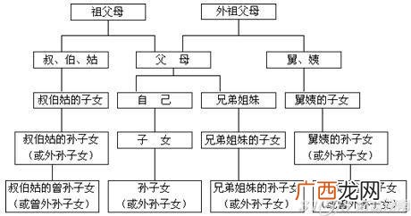 直系亲属包括哪些呢,哪些属于直系亲属。继母属于直系亲属么？