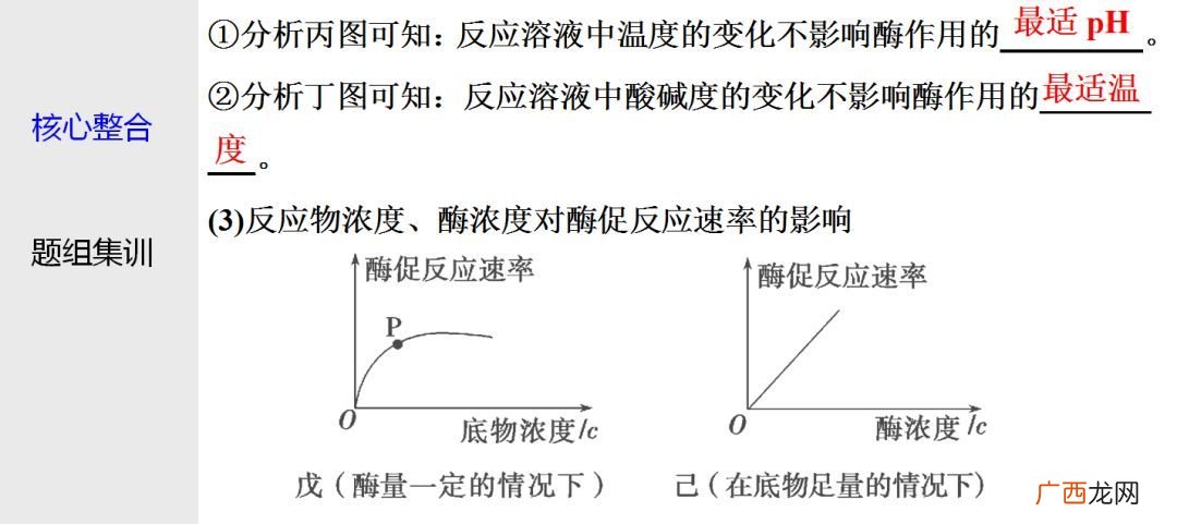 mme代谢酶是什么意思,mme是什么?