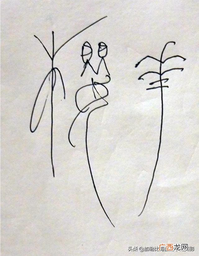 钢笔式毛笔怎么使用,学钢笔字为什么不能用毛笔的方法，硬笔应该怎么练？