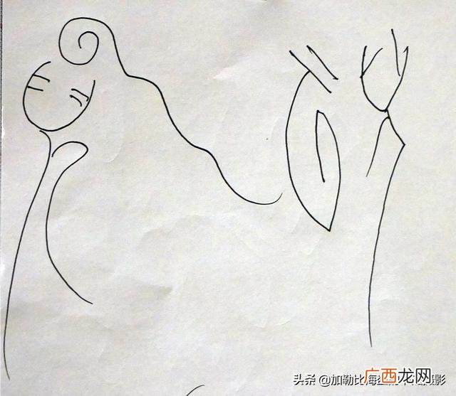 钢笔式毛笔怎么使用,学钢笔字为什么不能用毛笔的方法，硬笔应该怎么练？