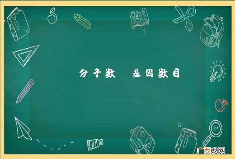 DNA分子数 基因数目