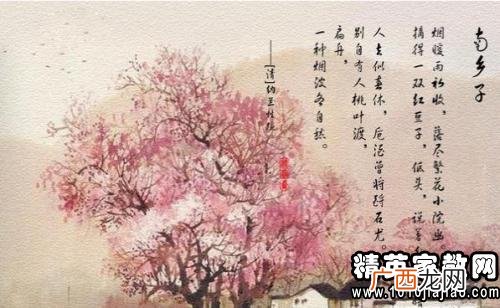 关于紫色唯美古风的句子,紫色寓意？