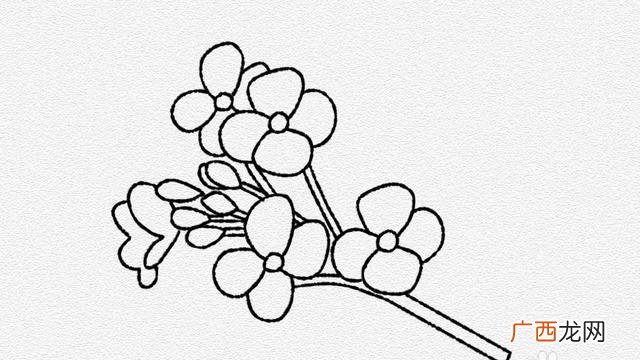 怎么画油菜花小学生,思维导图的油菜花怎么画?
