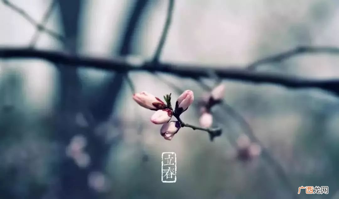 春幡春胜是什么意思,诗经关于立春的句子？