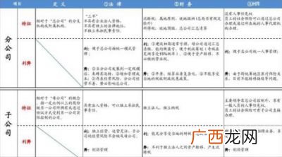 子公司和分公司的区别,京东自营和京东官方旗舰店的差别是什么？
