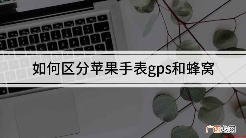 如何区分苹果手表gps和蜂窝