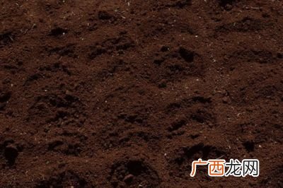 壤土的特点是什么,为什么说壤土既发小苗又发老苗？