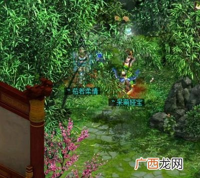 经常有人说小树林是什么意思,树密的意思？