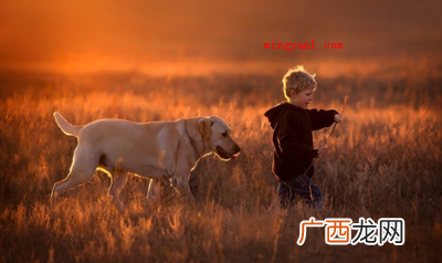 怎么判断五行属火的字大全 吉祥好听的五行属火的字大全