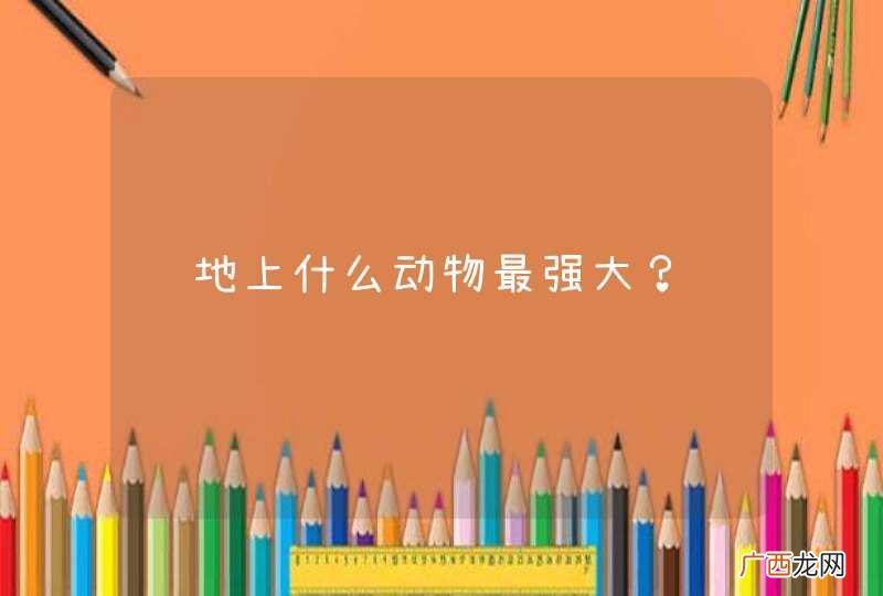 陆地上什么动物最强大？