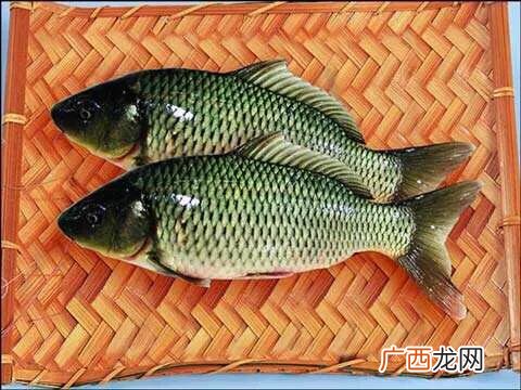 鲤鱼吃什么,河里的鲤鱼吃什么？