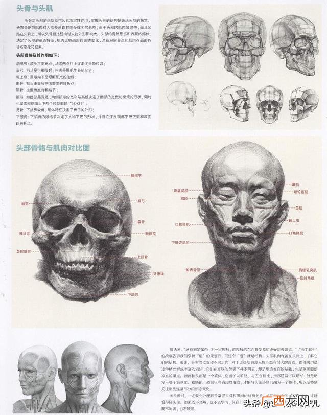 高中美术生,高中选择美术特长的利与弊？