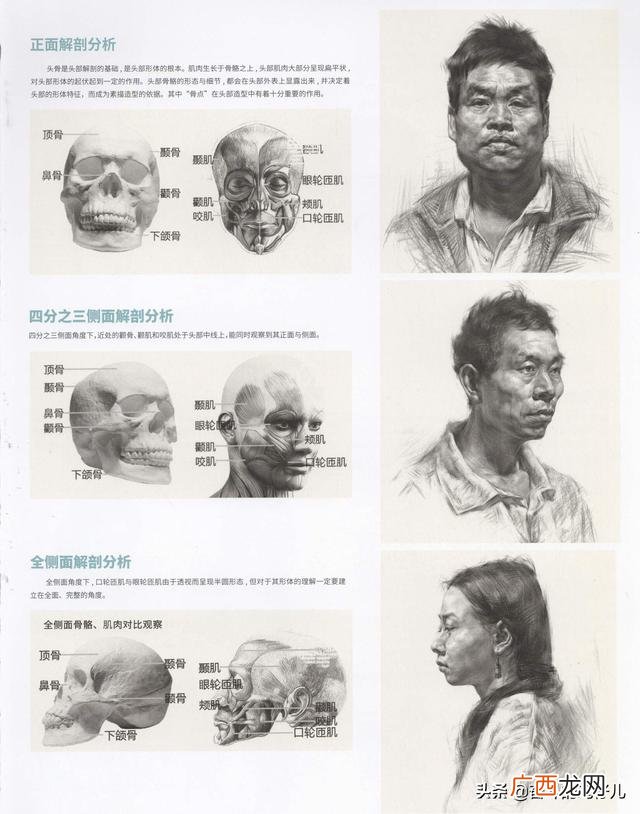高中美术生,高中选择美术特长的利与弊？