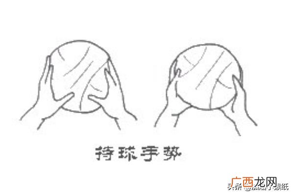 运球篇篮球基本功:如何练习运球,篮球基本功怎么练？