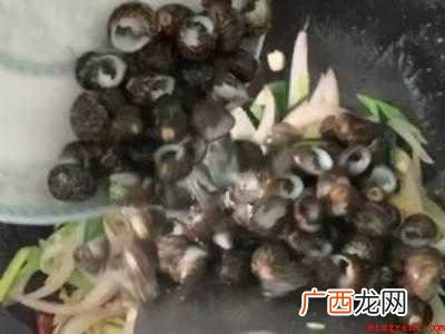 芝麻螺怎么吃