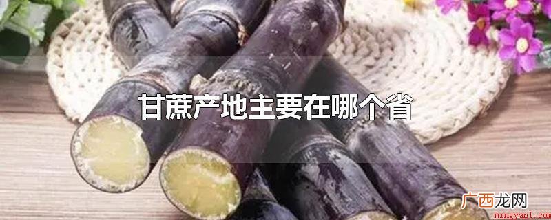 甘蔗原产地主要是在广西和云南,由于这两个地区的甘蔗生产量占了 甘蔗产地主要在哪个省