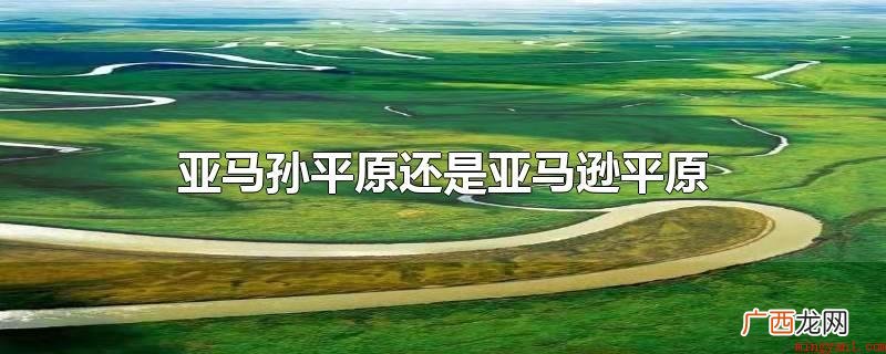两者都译自 亚马孙平原还是亚马逊平原