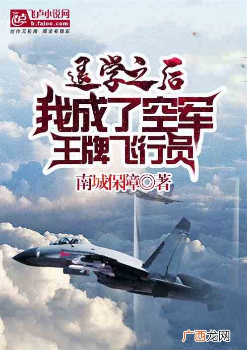 关于飞行员的小说,女主是飞行员的言情小说？