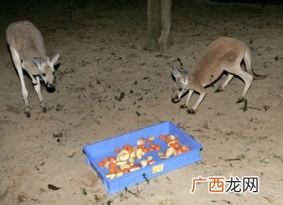 戒备心理是什么意思呢,放下心里的戒备还需要多久是什么意思？
