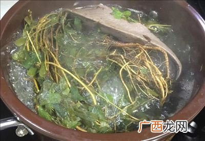 白麻叶可以煲汤吗,白麻叶糍做法？