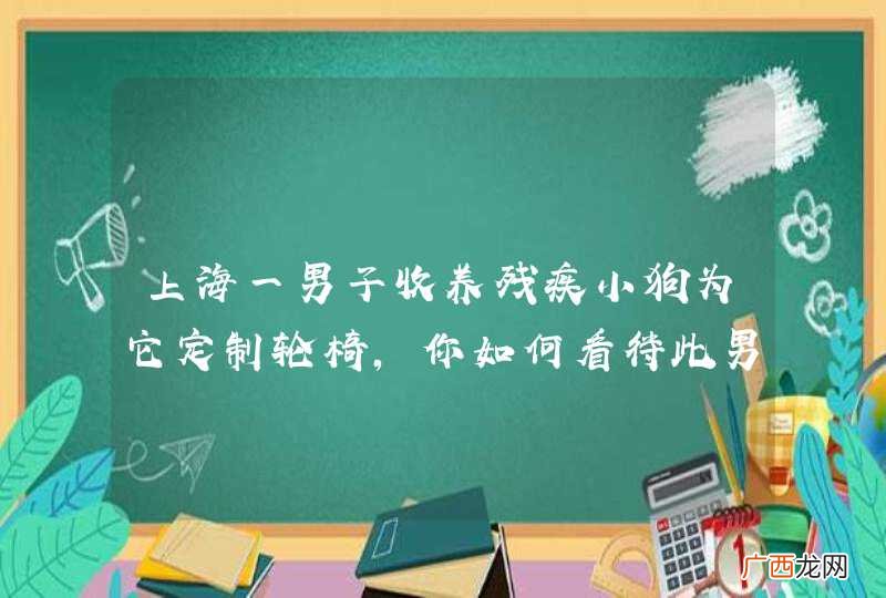 上海一男子收养残疾小狗为它定制轮椅,你如何看待此男子的行为?